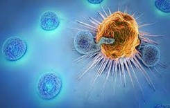 CORSO CAR-T E GENE THERAPY SPECIALIST - J&J