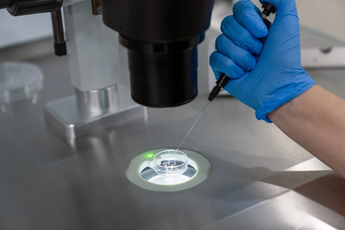 Embriologo che esegue una ICSI al microscopio in un laboratorio di fertilità
