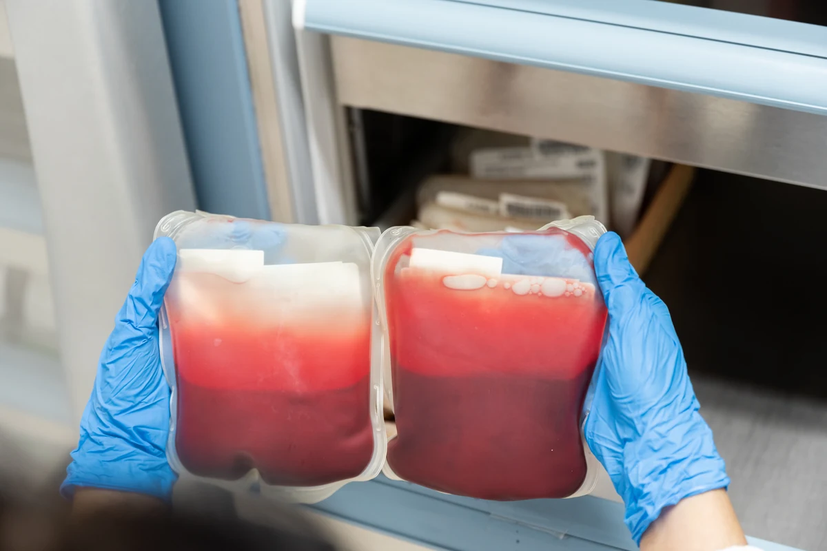 Mani guantate che tengono sacche di sangue in un frigorifero di conservazione
