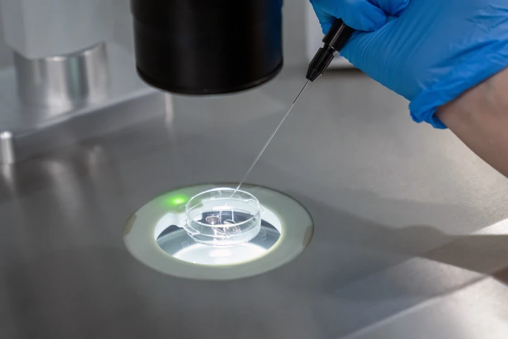 Embriologo al microscopio con una micropipetta su una piastra di coltura